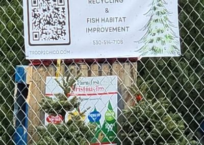 Christmas Tree Lot Sign